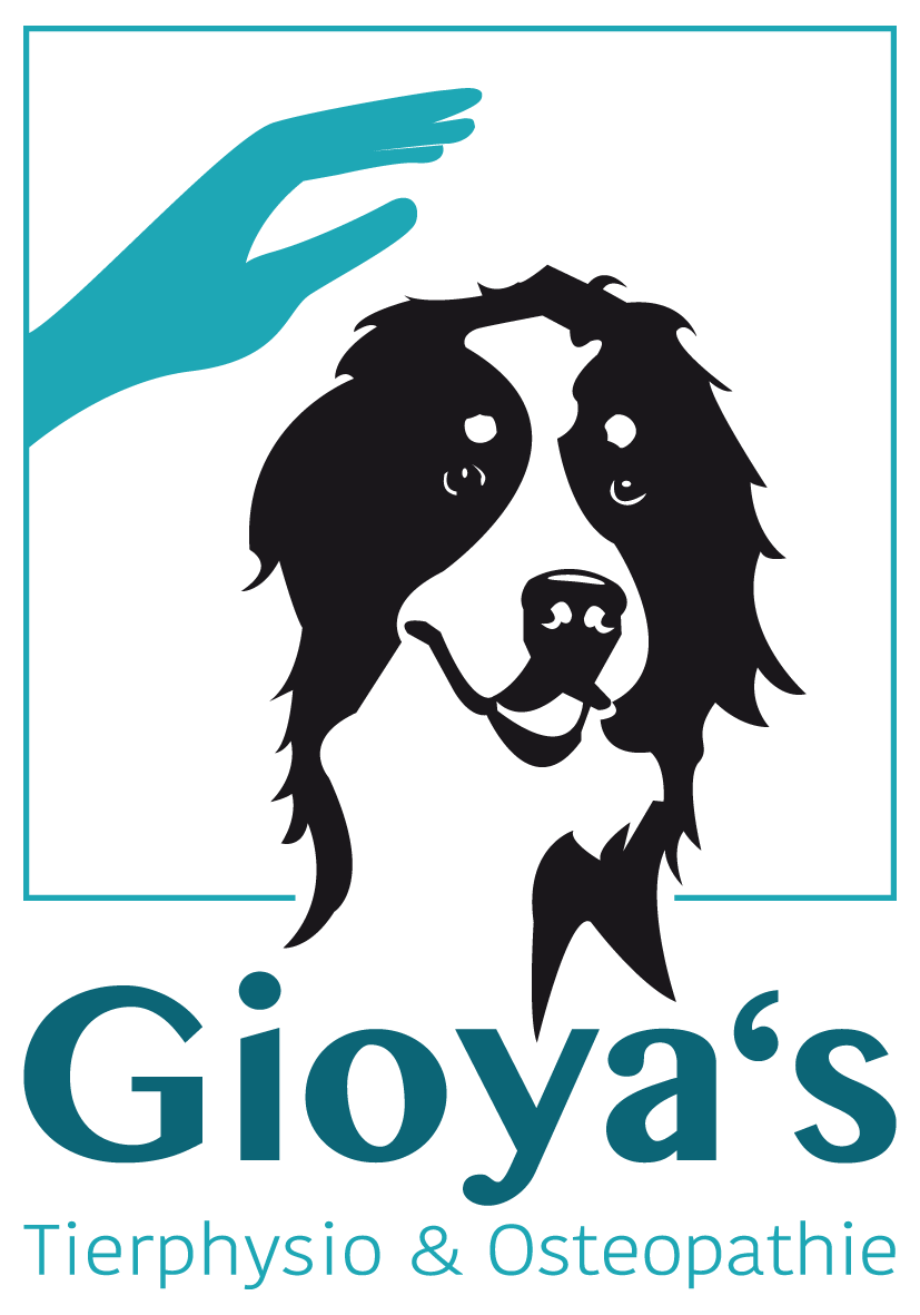 Kurs "Hundegymnastik" logo